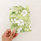 Illustration Greeting Cards - BC