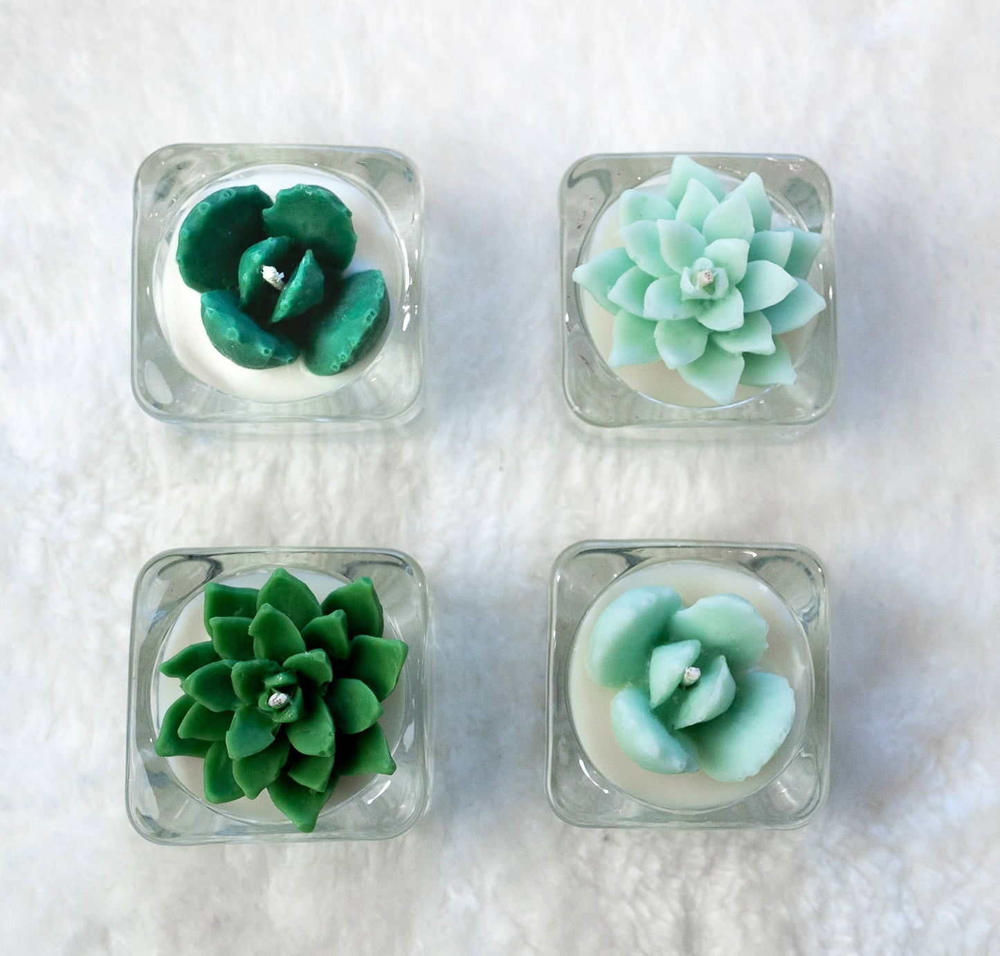 Tealight Candles - Bear Paw Succulent
