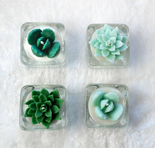 Tealight Candles - Bear Paw Succulent