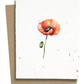 Plantable Greeting Cards - BC
