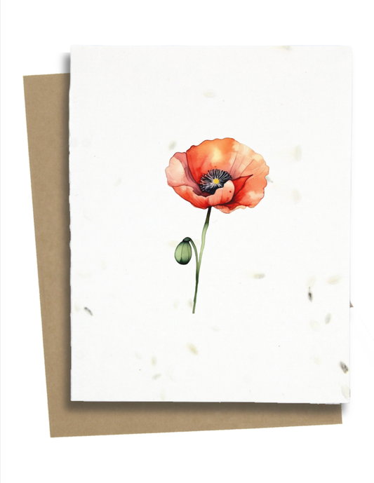 Plantable Greeting Cards - BC