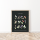 Botanical Art Prints - BC