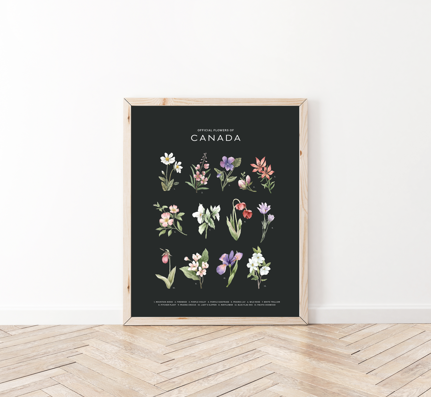 Botanical Art Prints - BC