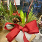 Dressed and Dreamy - Amaryllis bulbs