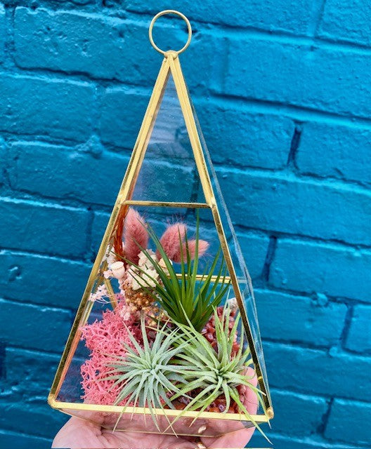 Air-Plant and Dried Botanical Terrarium