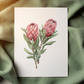 Floral Greeting Cards - BC