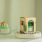 Tealight Candles - Barrel Cactus