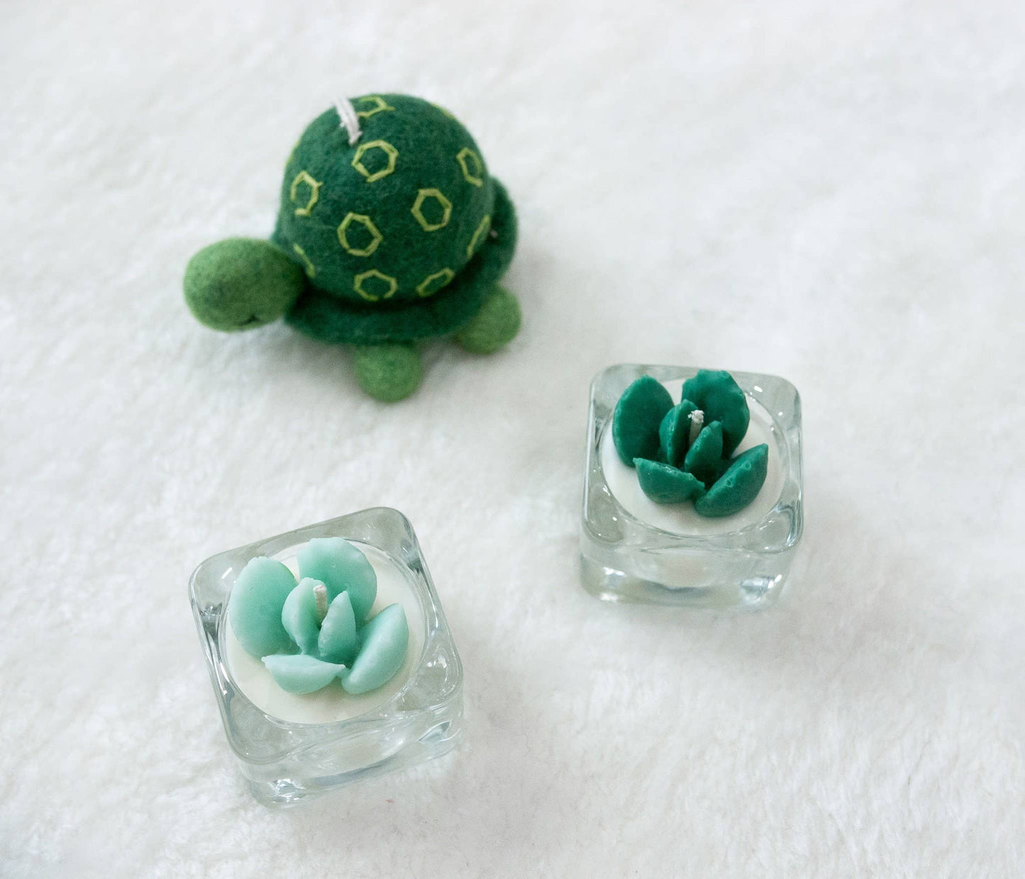 Tealight Candles - Bear Paw Succulent