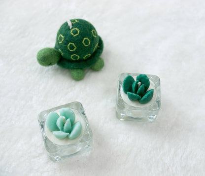Tealight Candles - Bear Paw Succulent