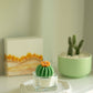 Tealight Candles - Barrel Cactus