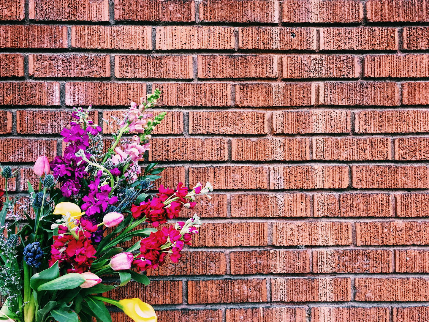 Vase arrangement workshop: Thursday 6pm February 19th