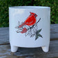 Cardinal Pots white ceramic- Two Varieties