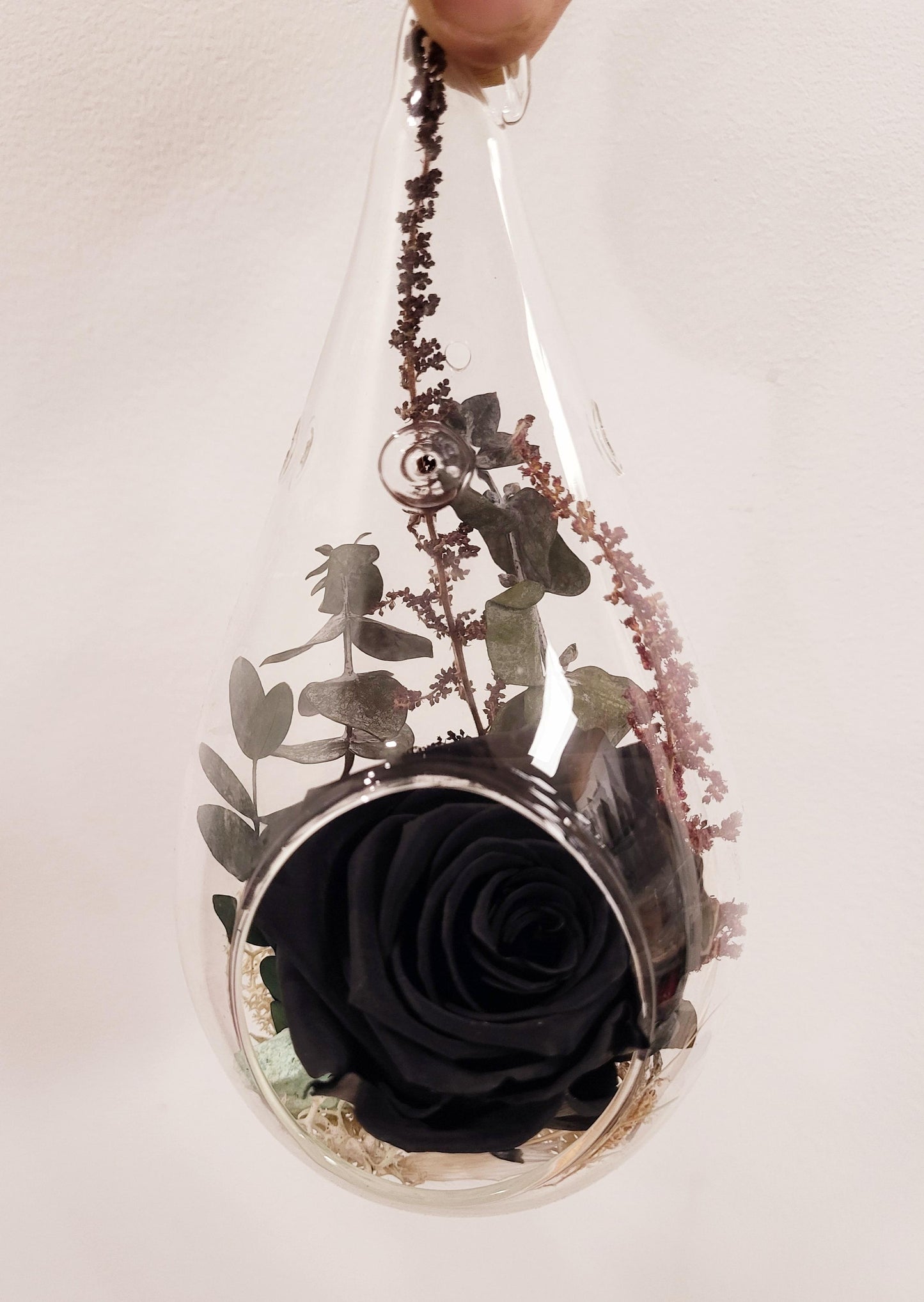 6" Preserved Rose Tear - Black (RT.BK3)