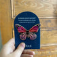 Screen Door Butterfly Magnets