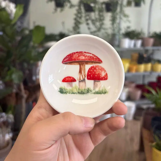 Small Mushroom Dish