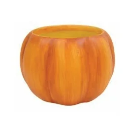 6" Pumpkin Pot (CE02PUM)