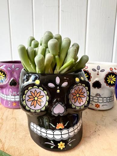 Colourful Skulls 1.5"