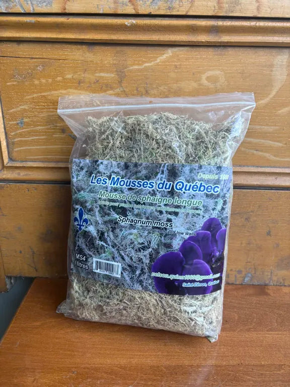 Sphagnum Moss (4L Bag)