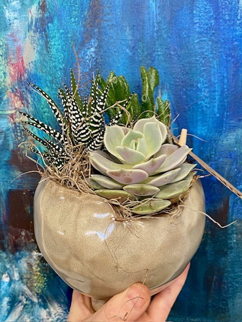 Succulent Small Pedestal Planter
