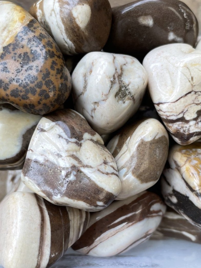 Loose Stones - Zebra Jasper