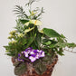 Made with Love - Tropical Blooming Planter