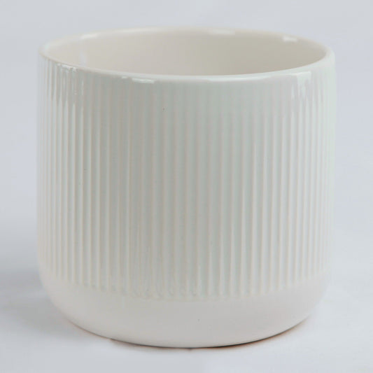 Ribbed White Dolomite, Assorted Sizes (CE00-438, CE10-438)