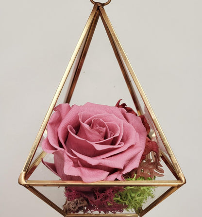 Preserved Rose in Prism