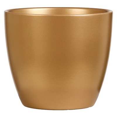 Gold Cover Pot
