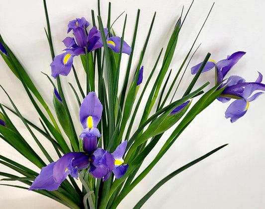 Made with Love - Iridescent Irises