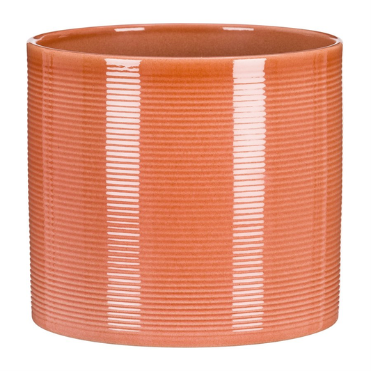 Papaya Cover Pot
