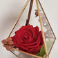 Preserved Rose in Prism