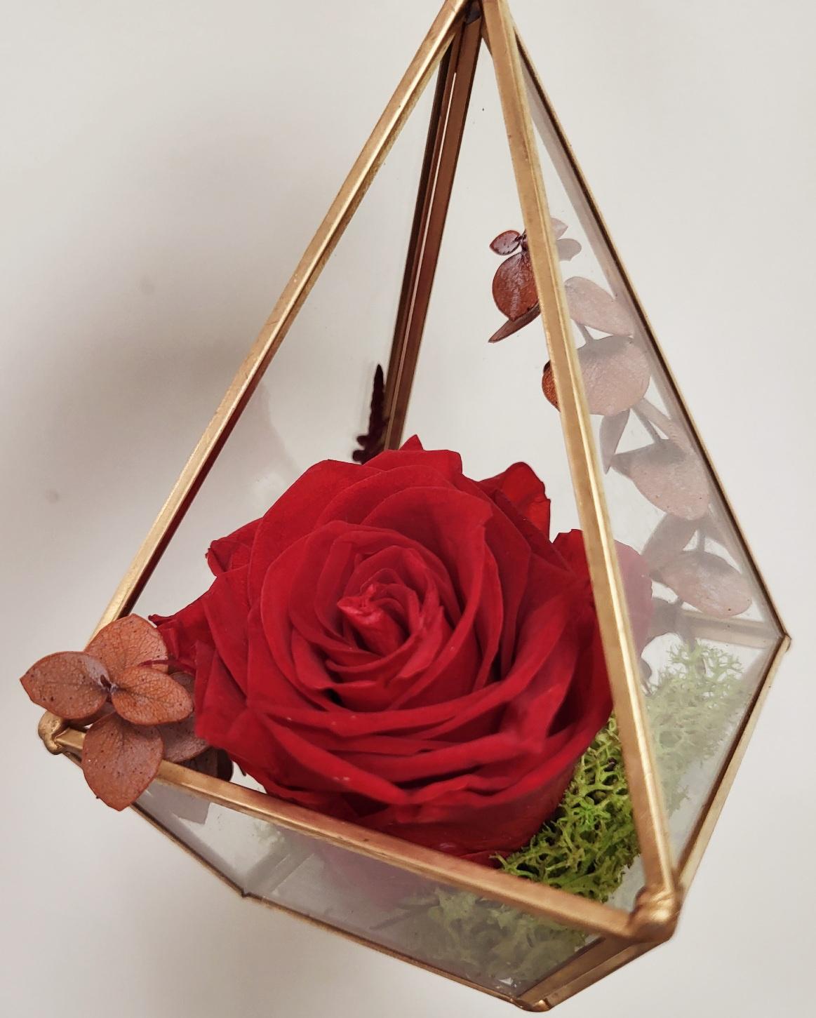 Preserved Rose in Prism