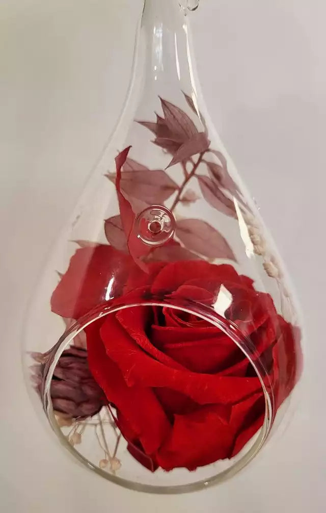 Preserved Roses - Red Valentine Spheres