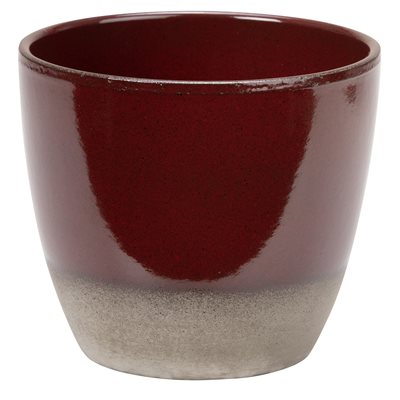 Scarlet Cover Pot