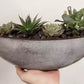Succulent Planters, Assorted Styles
