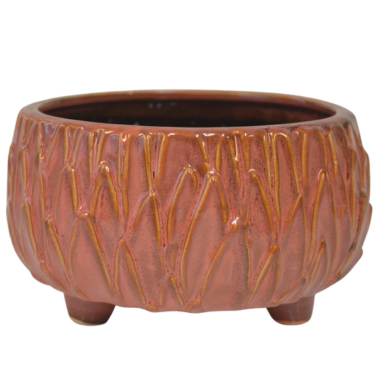 Peachy Planter