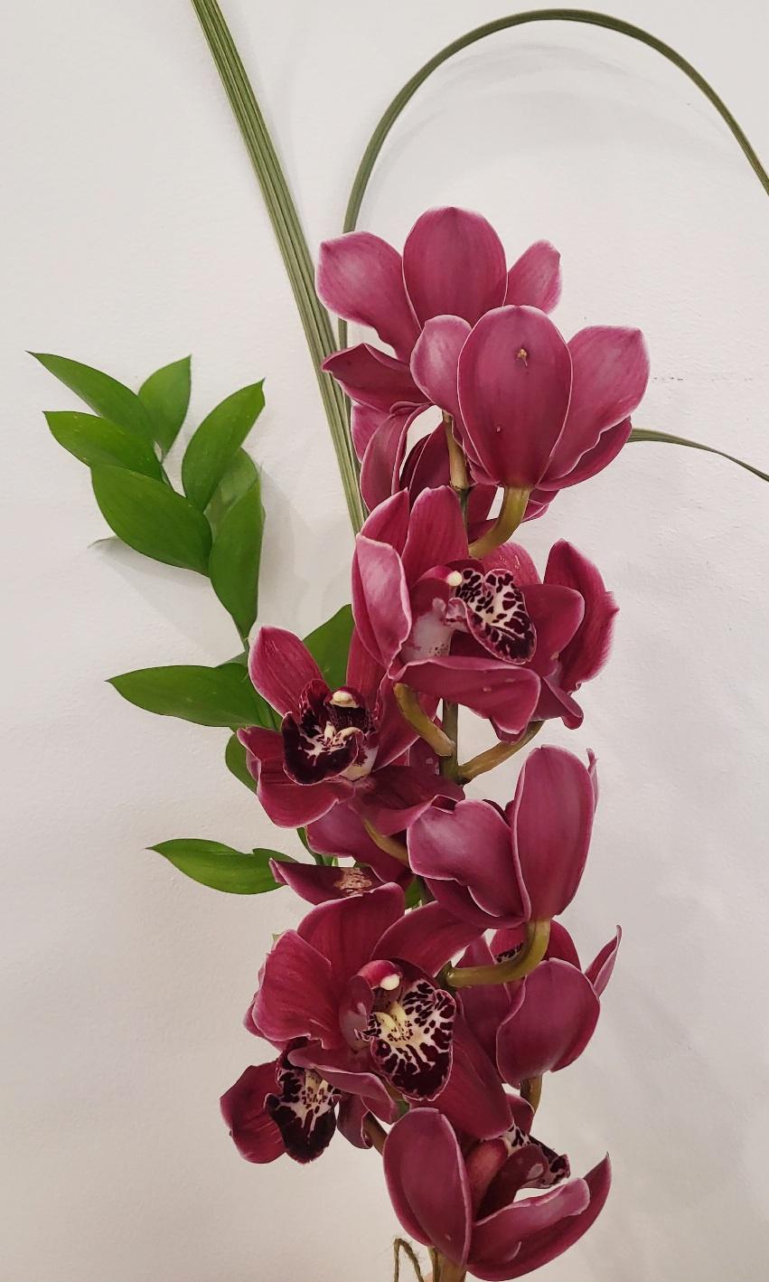 Made with Love - Romantic Cymbidium Orchid