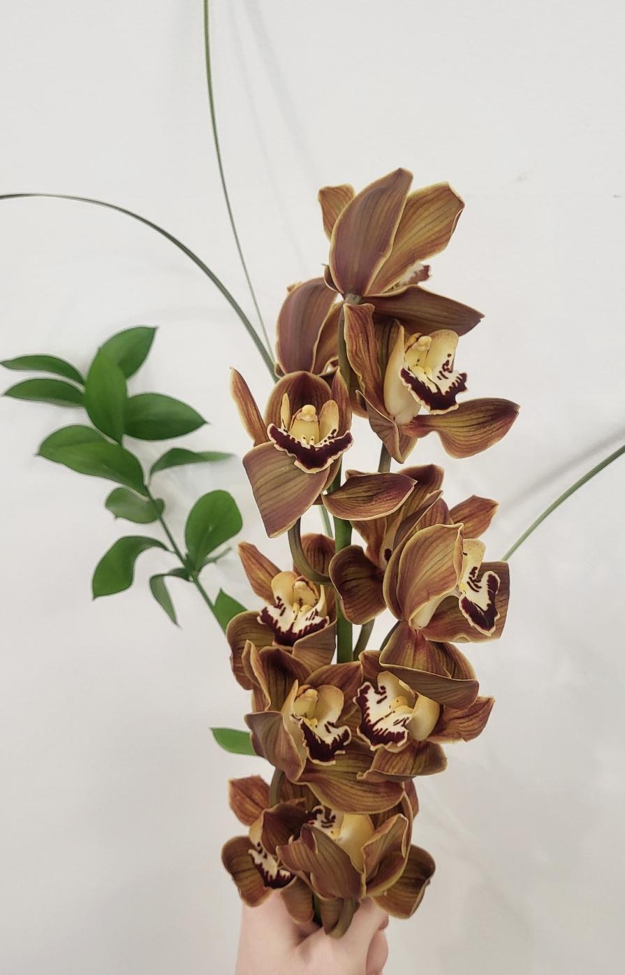 Made with Love - Romantic Cymbidium Orchid