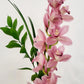 Made with Love - Cymbidium Orchid