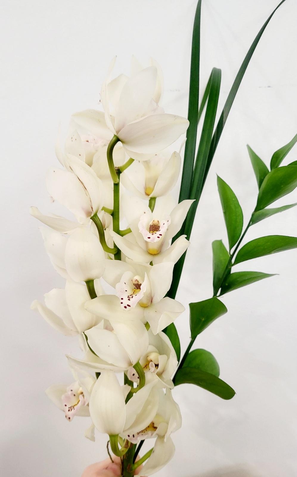 Made with Love - Romantic Cymbidium Orchid