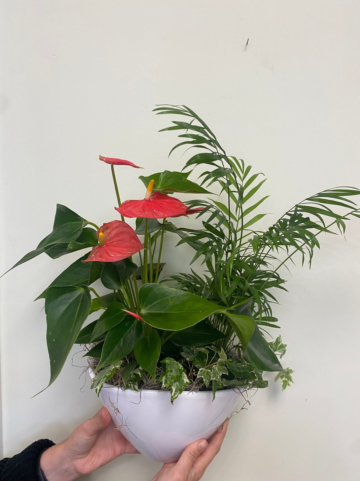 Made with Love - Tropical Blooming Planter