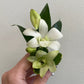 Prom : Boutonniere, Corsage, and Wristlets
