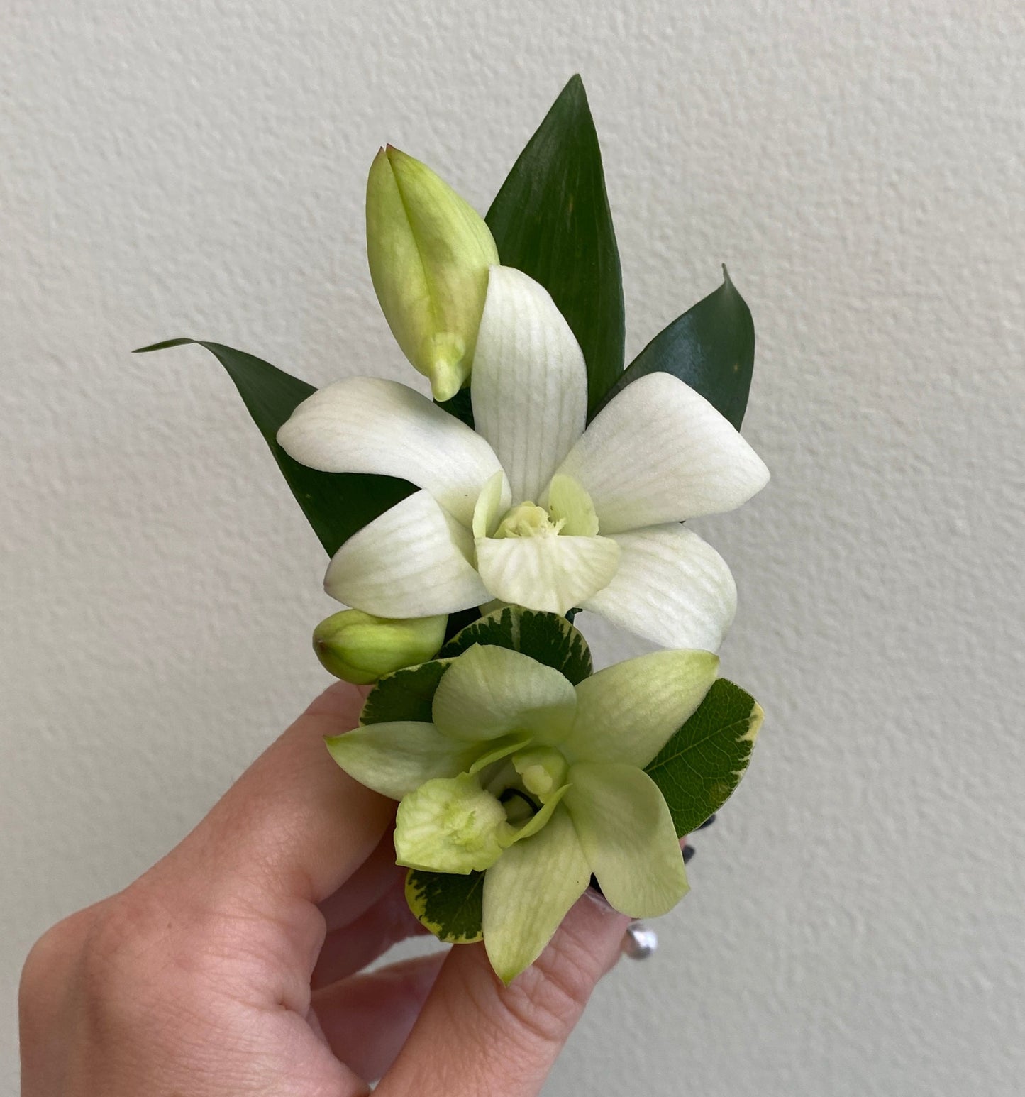 Prom : Boutonniere, Corsage, and Wristlets