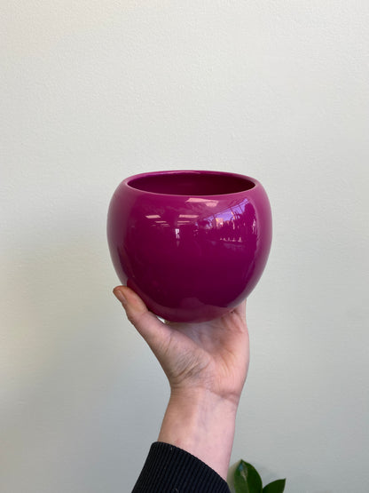 Lisa Ceramic Pot