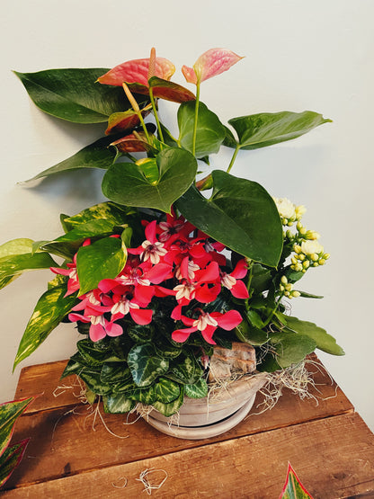 Designer's Choice Blooming Planter