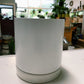 Cylinder with Saucer