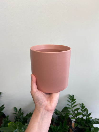 Pink Cylinder Pot