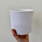 Panna Pot