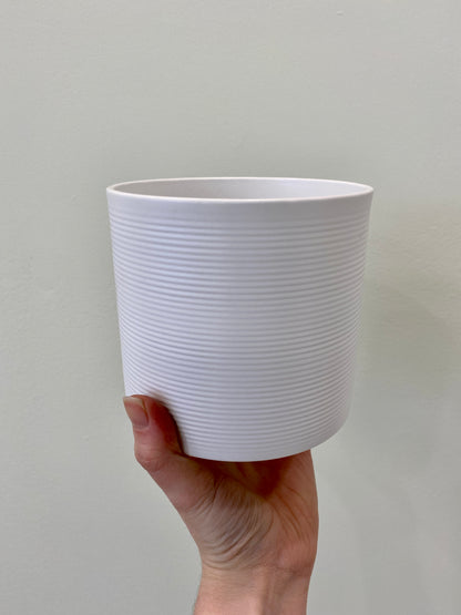 Panna Pot - Assorted Sizes